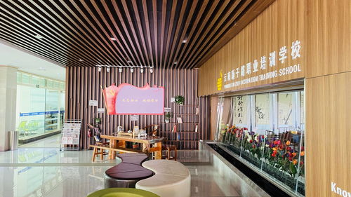 云南新子路職業培訓學校 榮獲第二批職業技能等級認定資格，深化應用與技術服務新篇章